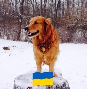 Meet your Posher, Terry